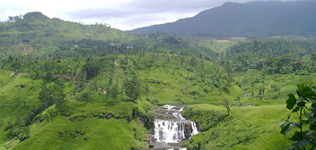 Nuwara Eliya Srilanka