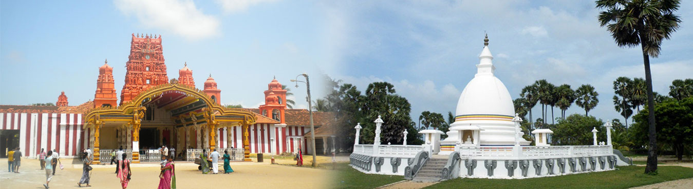 Jaffna Experience (5 Star)