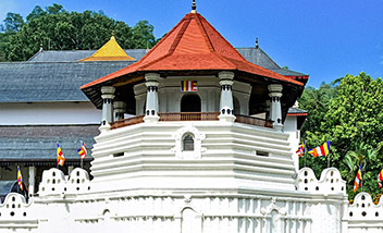 5 Days Best of Sri Lanka Tour