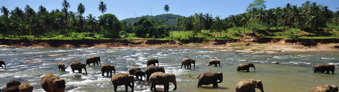 Sri Lanka Secrets