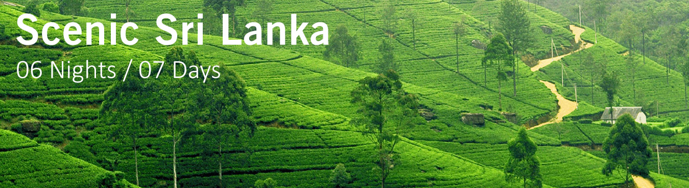 Scenic Sri Lanka package