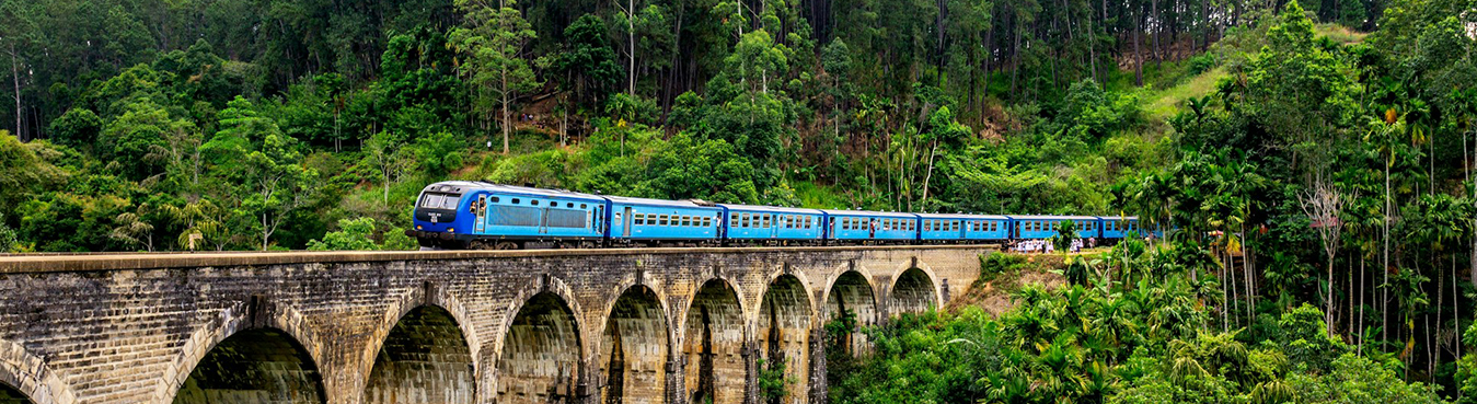 Discover the Magic of Sri Lanka