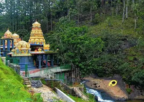 Kandy - Nuwara Eliya