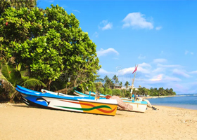 Bentota - Colombo - (14th Feb 2026)